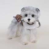 Autumn/Winter Fleece Floral Lace Dog Vest