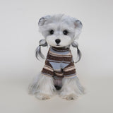Striped Dog Turtleneck Sweater – Cozy Knit Pullover for Small Dogs