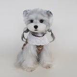 Autumn/Winter Fleece Floral Lace Dog Vest