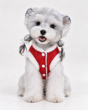 Chinese New Year Tang-Style Pet Vest – Warm Brocade Coat for Dogs & Cats