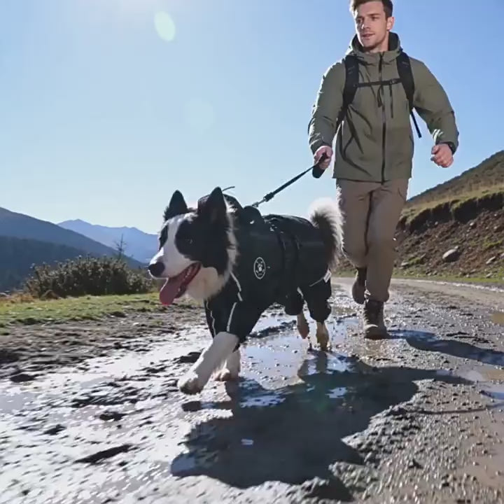 Dog Full Body Waterproof Raincoat with Reflective Strips