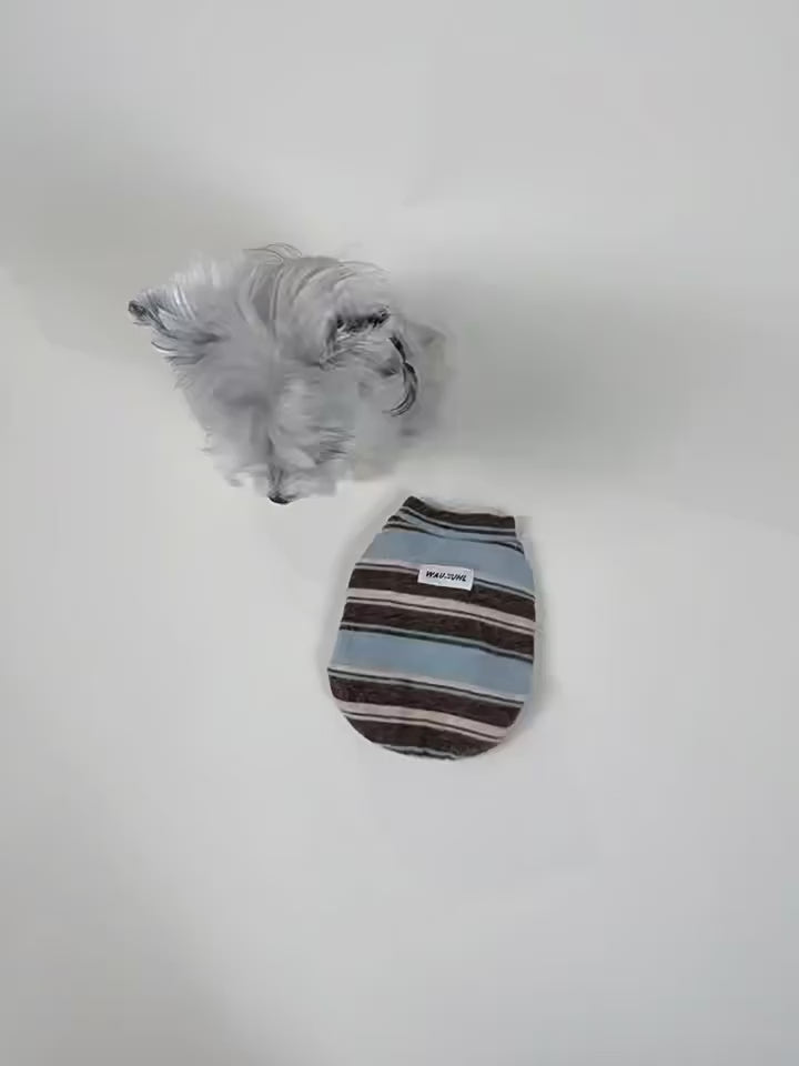 Striped Dog Turtleneck Sweater – Cozy Knit Pullover for Small Dogs