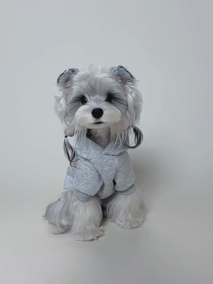 Dog Hoodie with Lace Trim – Cozy Pullover Sweater for Small Dogs