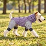 Full-coverage waterproof dog raincoat jumpsuit in teal green