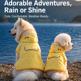 Small white dog wearing duck poncho raincoat on the beach